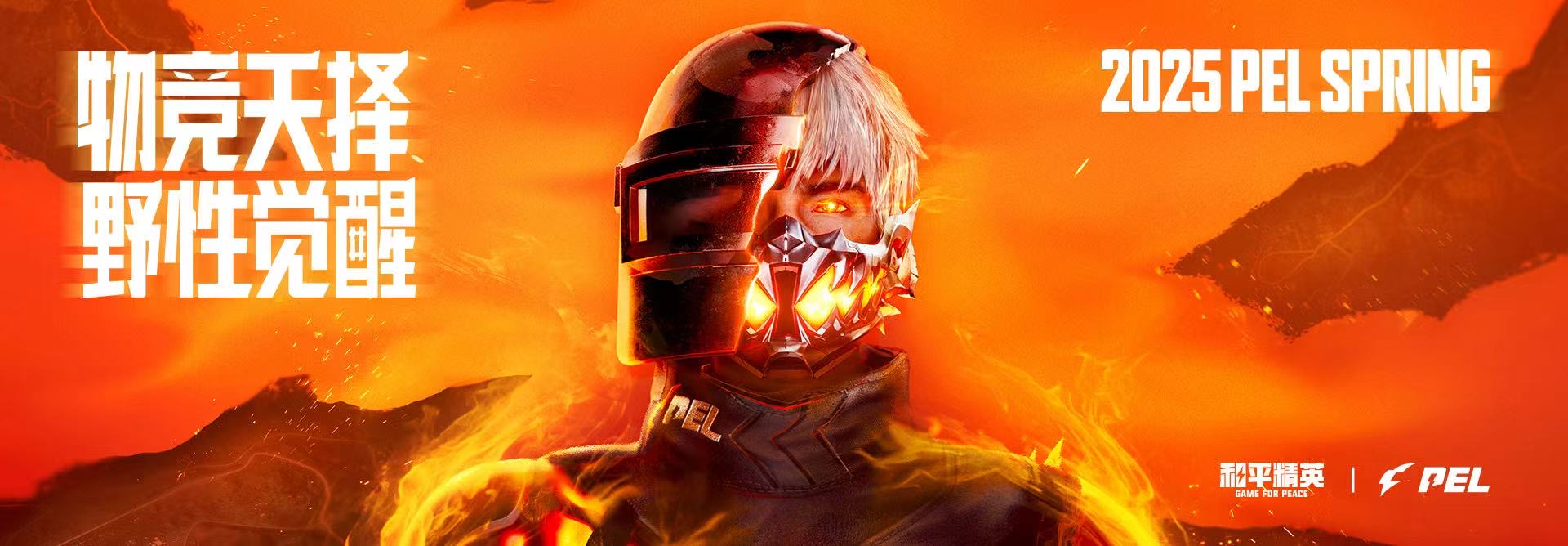 和平精英辅助得类型分为那些